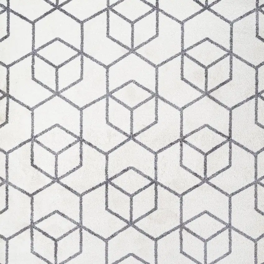 Diamond Area Rug Photo 4