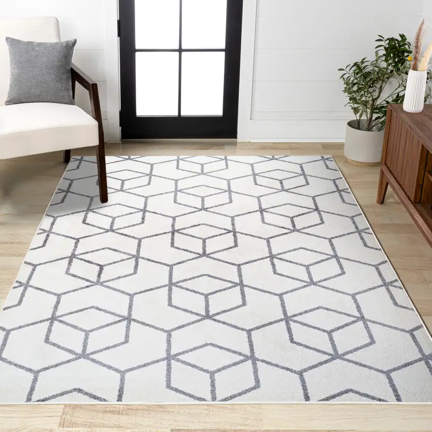 Diamond Area Rug Photo 8
