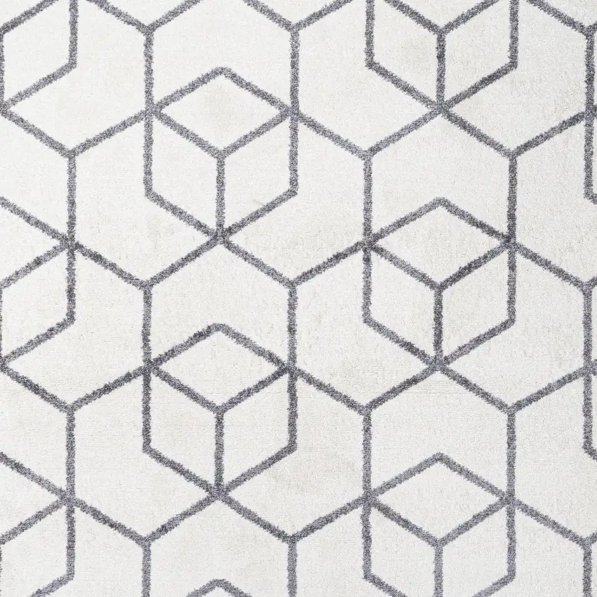 Diamond Area Rug Photo 3