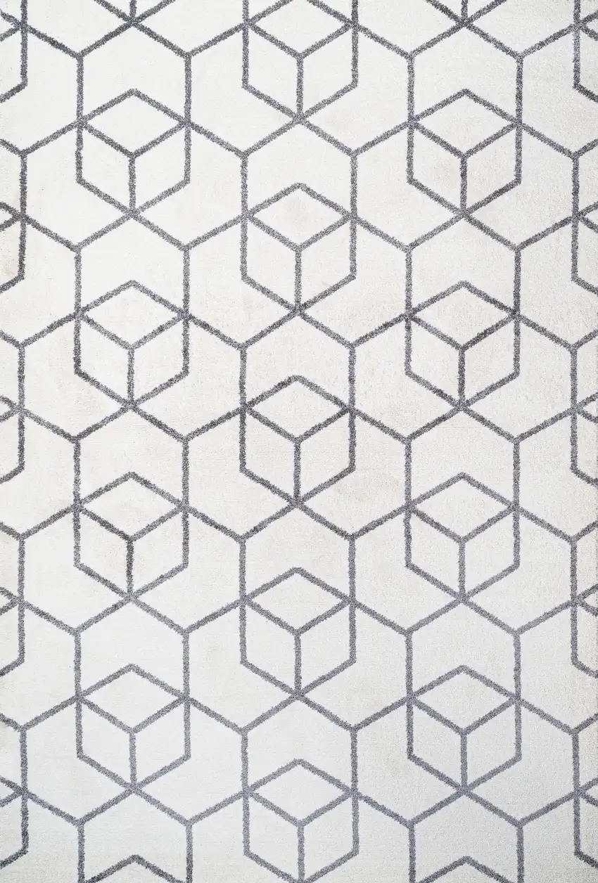 Diamond Area Rug Photo 2