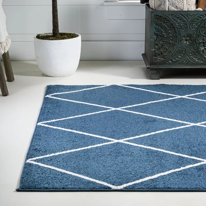 Diamond Area Rug Photo 6