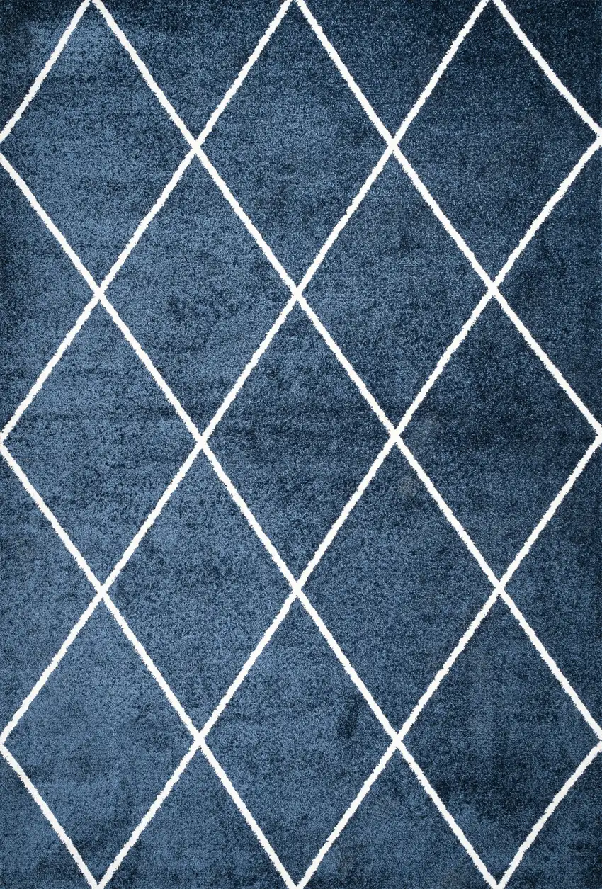 Diamond Area Rug Photo 4