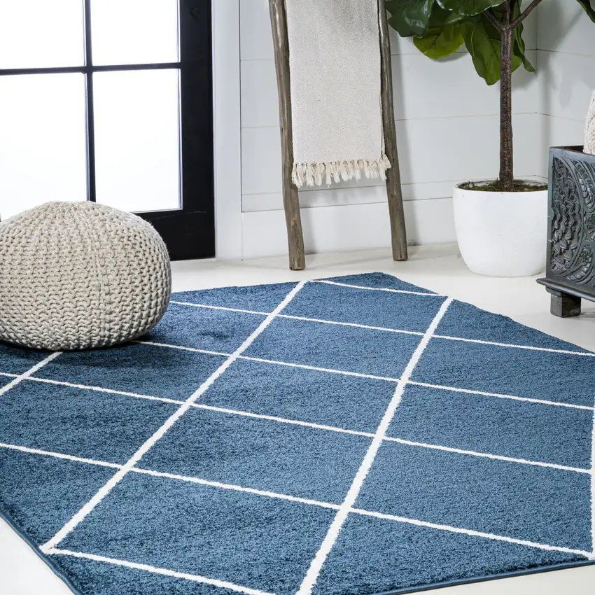 Diamond Area Rug Photo 6