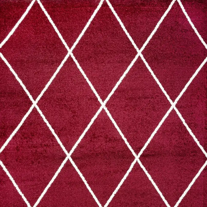 Diamond Area Rug Photo 3