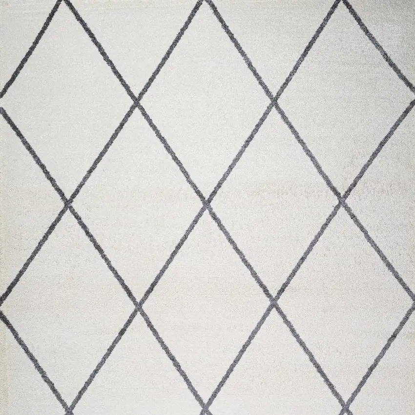 Diamond Area Rug Photo 3