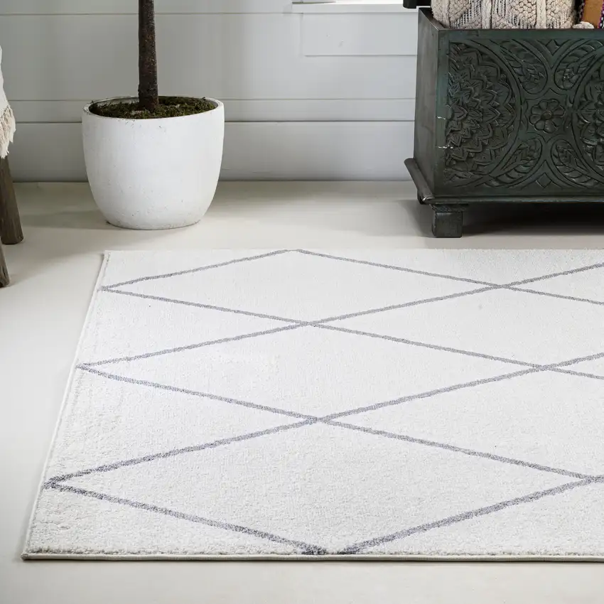 Diamond Area Rug Photo 6