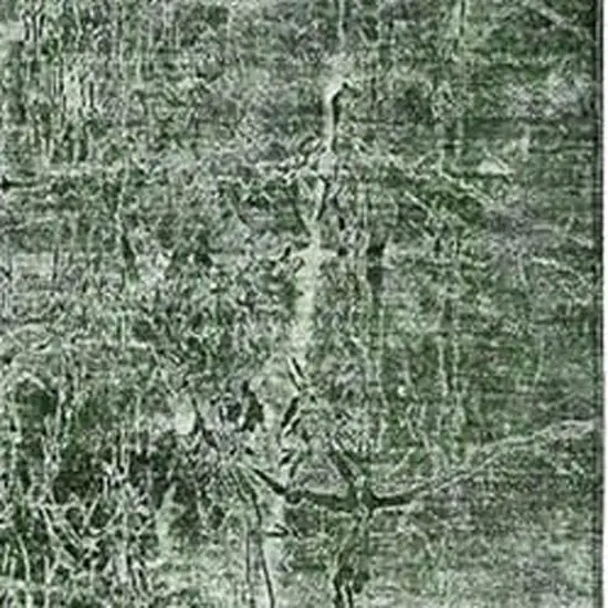 Emerald And Ivory Abstract Washable Area Rug With UV Protection Photo 4