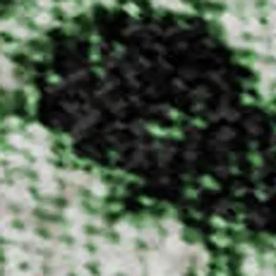 Emerald And Ivory Moroccan Washable Area Rug With UV Protection Photo 2