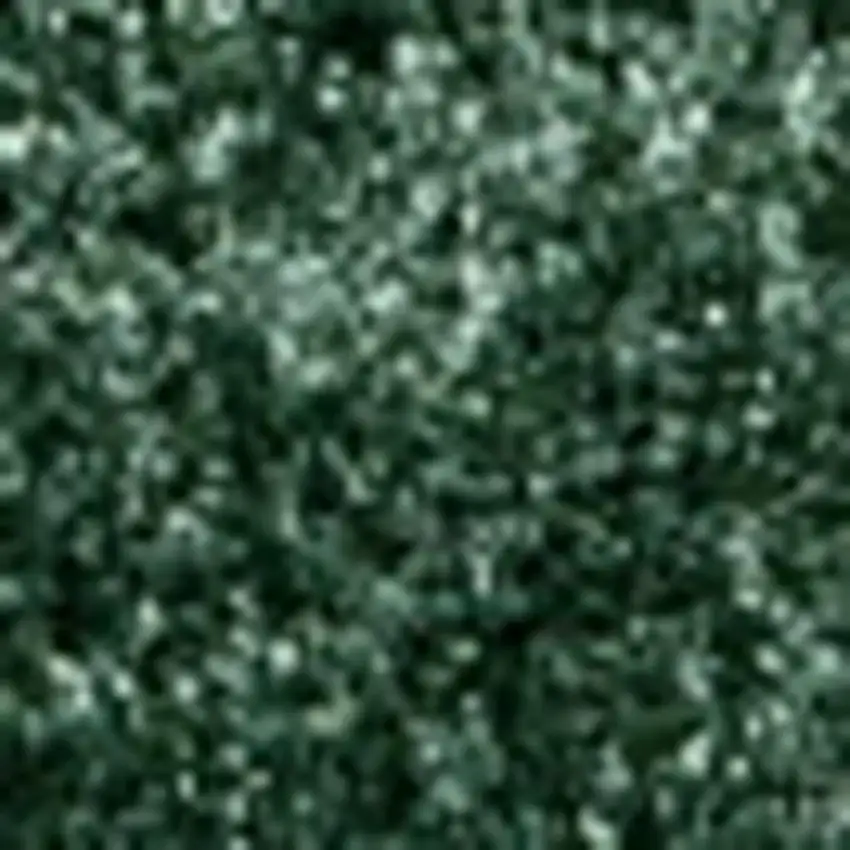 Emerald Area Rug Photo 3