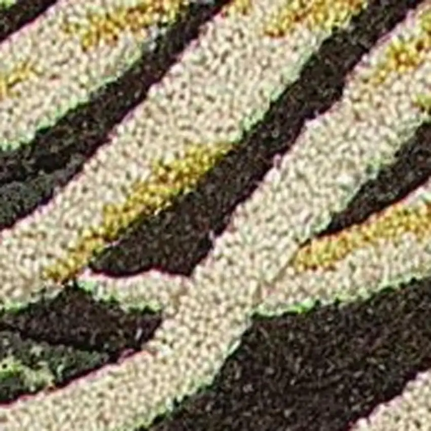 Espresso Beige And Green Wool Botanical Leaves Hand Tufted Area Rug Photo 8