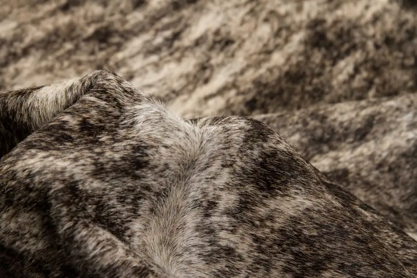 Exotic Zebu Cowhide - Area Rug Photo 3