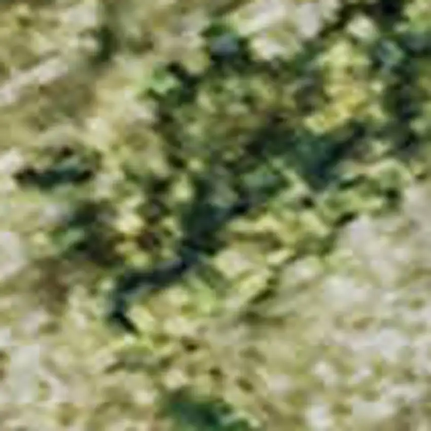 Fern Green And Gold Abstract Washable Area Rug With UV Protection Photo 2