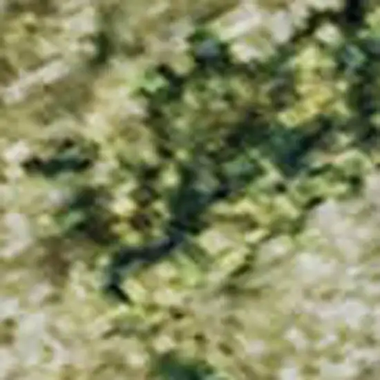 Fern Green And Gold Abstract Washable Area Rug With UV Protection Photo 2