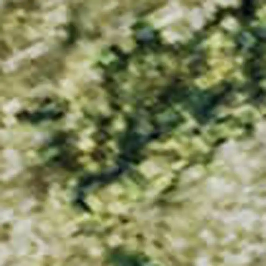 Fern Green And Gold Abstract Washable Area Rug With UV Protection Photo 2