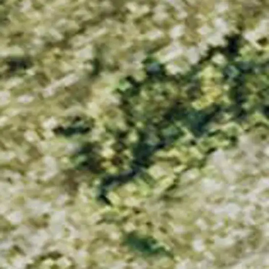 Fern Green And Gold Abstract Washable Area Rug With UV Protection Photo 3