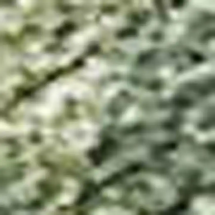 Fern Green And Ivory Abstract Washable Indoor Outdoor Area Rug Photo 2