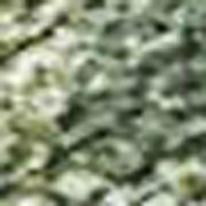 Fern Green And Ivory Abstract Washable Indoor Outdoor Area Rug Photo 2