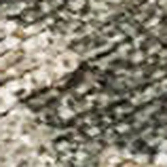 Fern Green Beige And Blue Floral Washable Indoor Outdoor Area Rug Photo 2