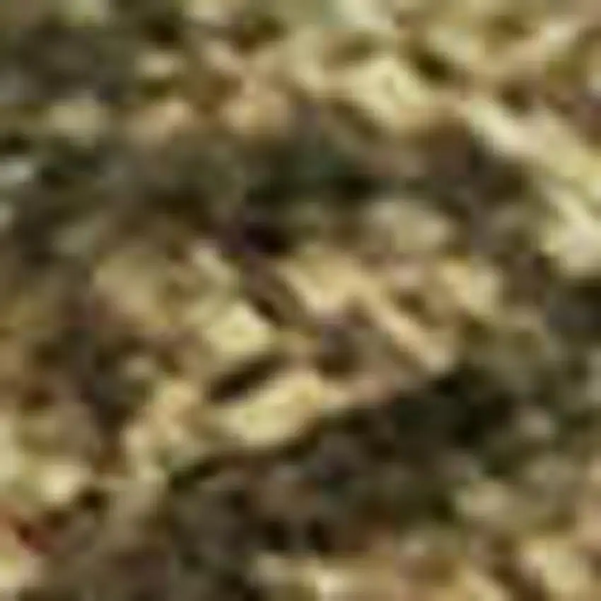 Fern Green Rust And Copper Abstract Washable Area Rug With UV Protection Photo 2