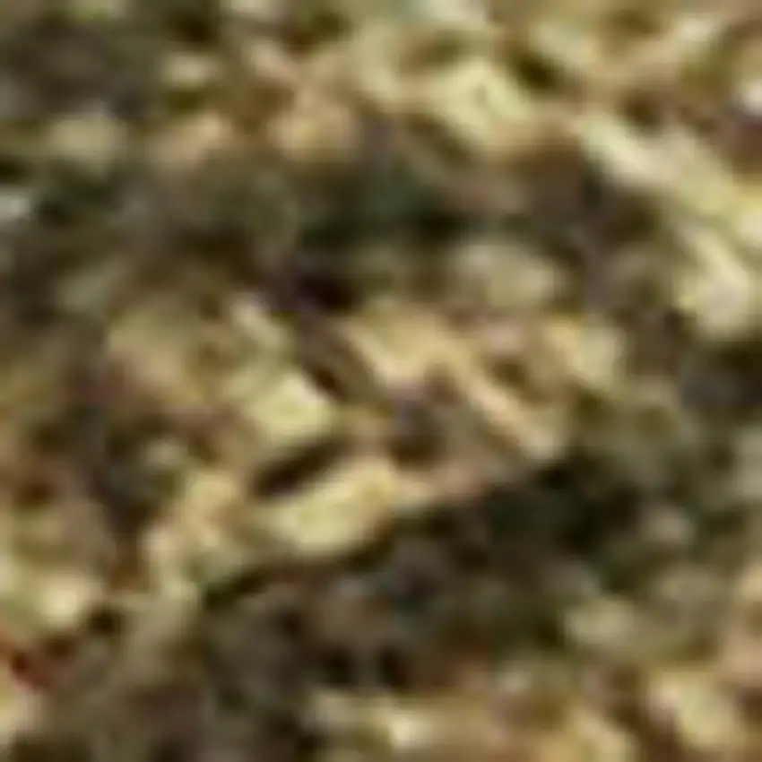 Fern Green Rust And Copper Abstract Washable Area Rug With UV Protection Photo 3