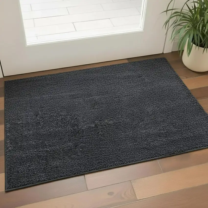 Flatweave Area Rug Photo 2