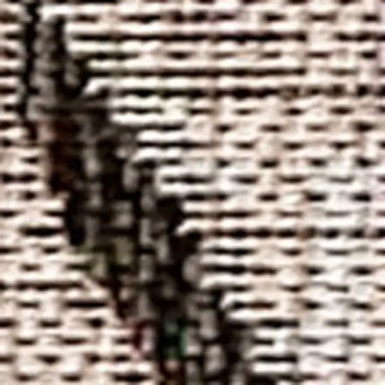 Floral Washable Round Rug Photo 6