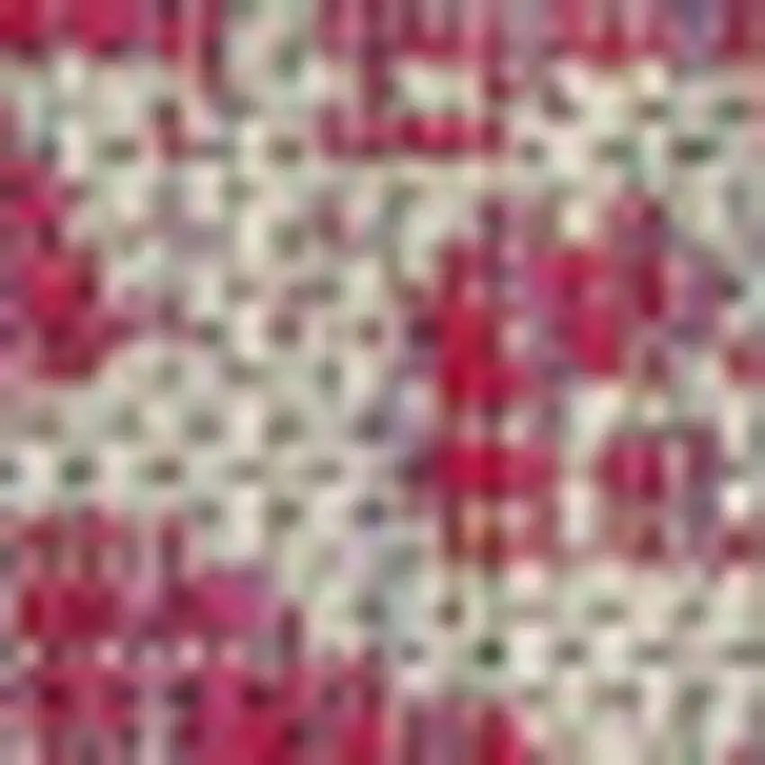 Fuchsia And Light Gray Medallion Indoor Outdoor Area Rug Photo 2