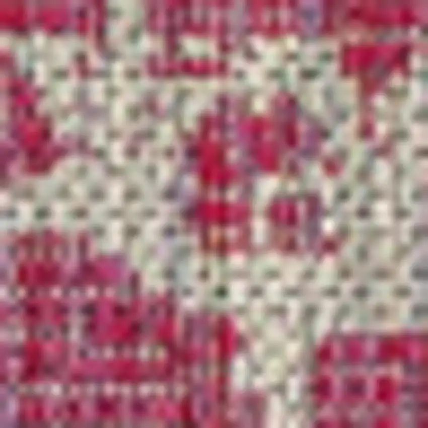 Fuchsia And Light Gray Medallion Indoor Outdoor Area Rug Photo 2