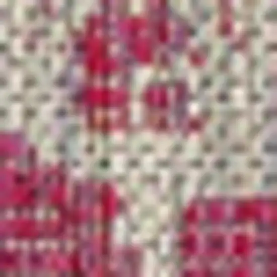 Fuchsia And Light Gray Medallion Indoor Outdoor Area Rug Photo 2