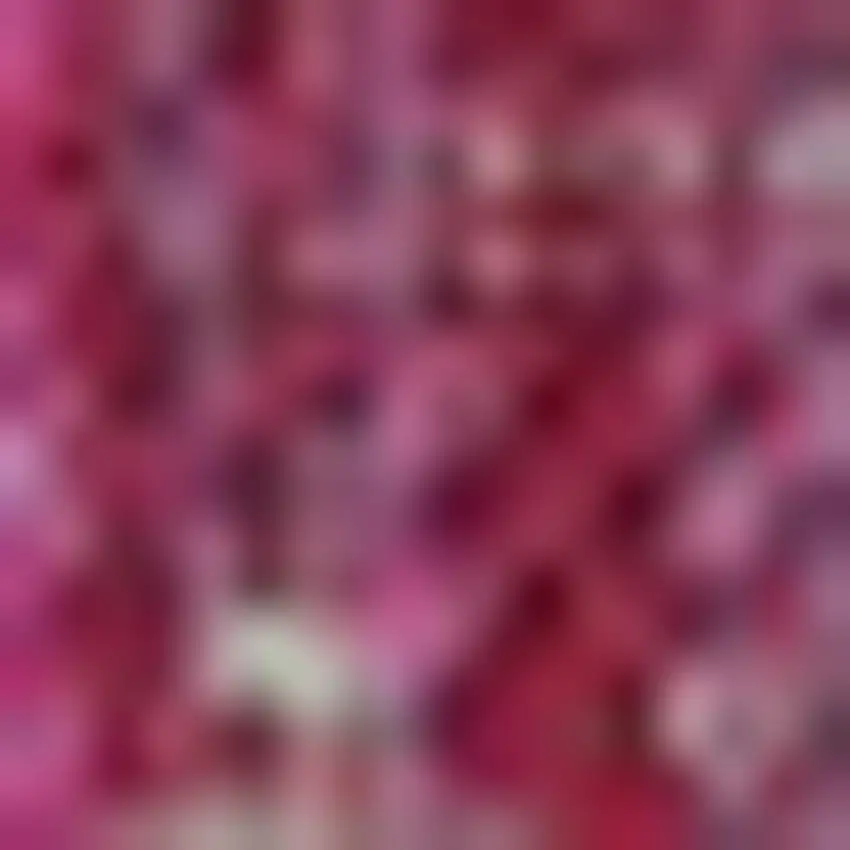 Fuchsia And Light Gray Medallion Indoor Outdoor Area Rug Photo 2