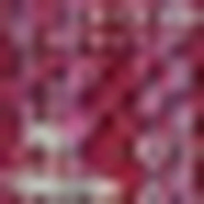 Fuchsia And Light Gray Medallion Indoor Outdoor Area Rug Photo 2