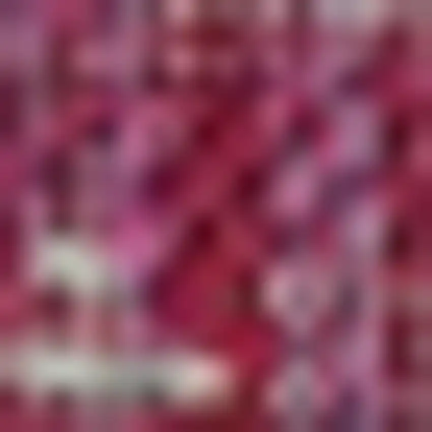 Fuchsia And Light Gray Medallion Indoor Outdoor Area Rug Photo 2