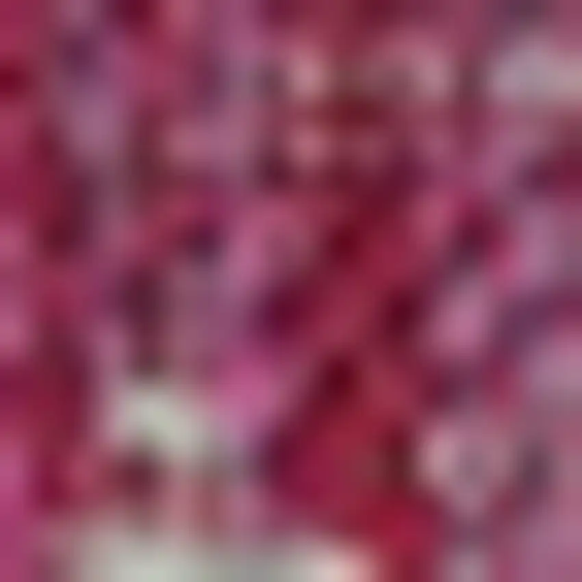 Fuchsia And Light Gray Medallion Indoor Outdoor Area Rug Photo 2