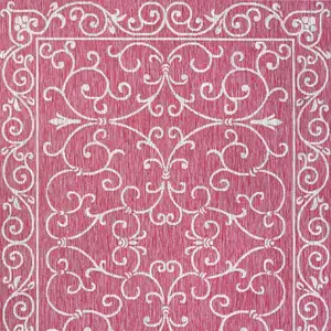 Photo of Fuchsia And Light Gray Medallion Indoor Outdoor Area Rug