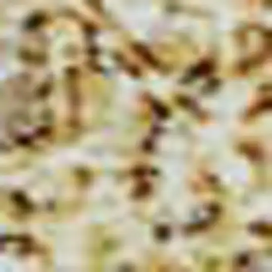 Gold And Beige Abstract Washable Area Rug With UV Protection Photo 2