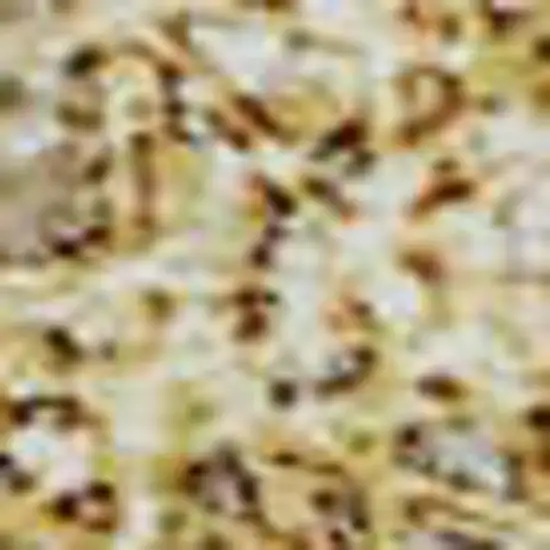 Gold And Beige Abstract Washable Area Rug With UV Protection Photo 2