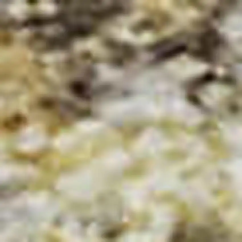 Gold And Beige Abstract Washable Area Rug With UV Protection Photo 2