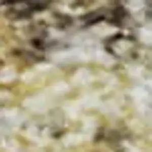 Photo of Gold And Beige Abstract Washable Area Rug With UV Protection