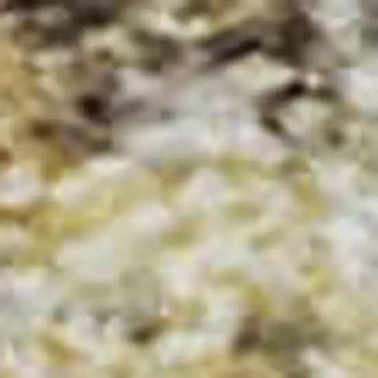 Gold And Beige Abstract Washable Area Rug With UV Protection Photo 2