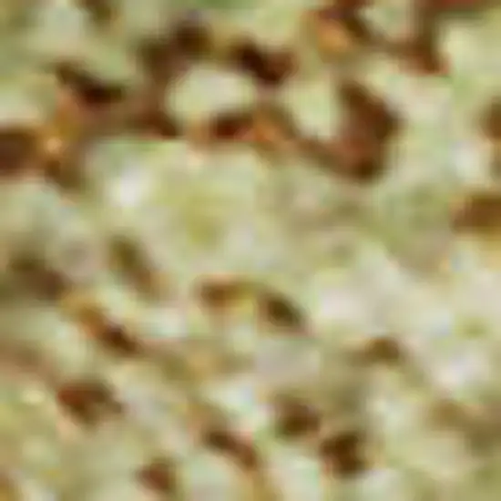 Gold And Beige Diamond Washable Area Rug With UV Protection Photo 4