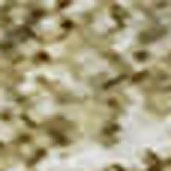 Gold And Beige Ombre Washable Area Rug With UV Protection Photo 3