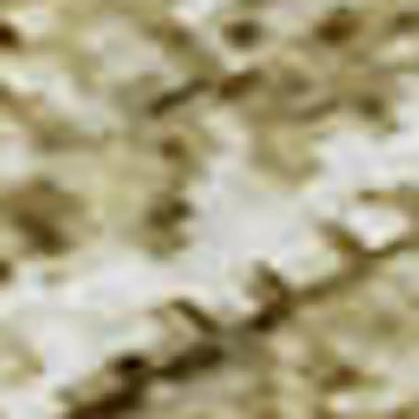 Gold And Beige Ombre Washable Area Rug With UV Protection Photo 3