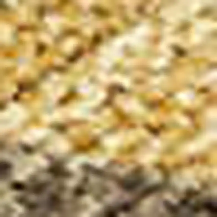 Gold And Brown Seashell Washable Indoor Outdoor Area Rug Photo 2