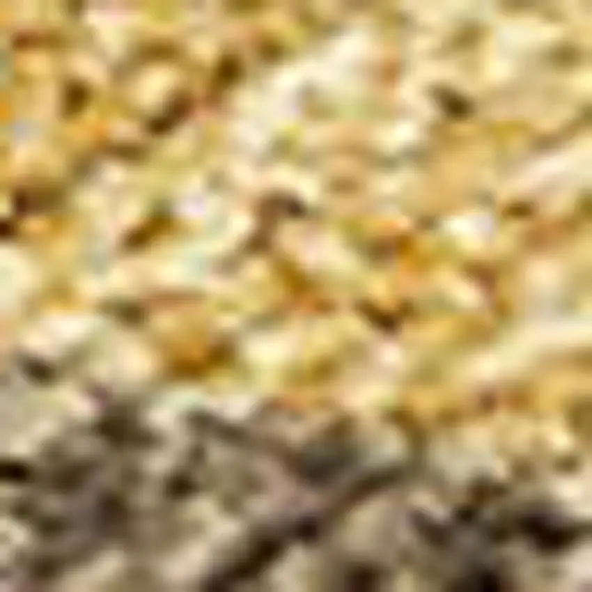 Gold And Brown Seashell Washable Indoor Outdoor Area Rug Photo 2