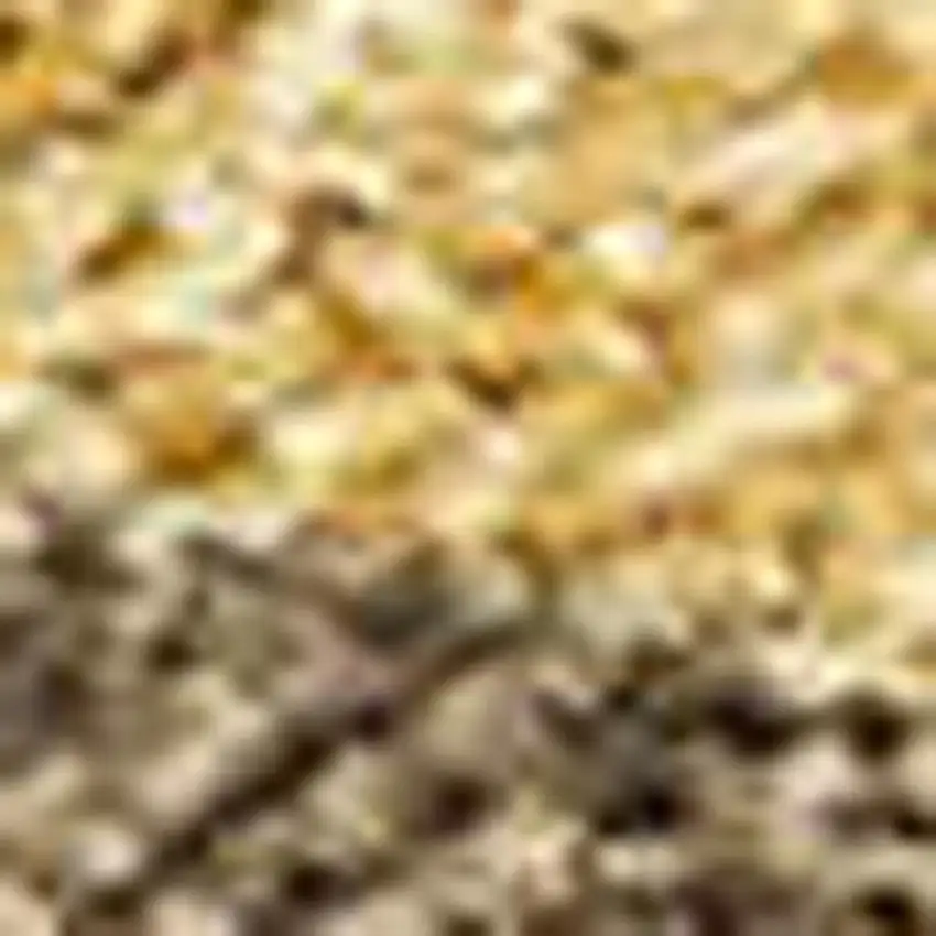 Gold And Brown Seashell Washable Indoor Outdoor Area Rug Photo 2