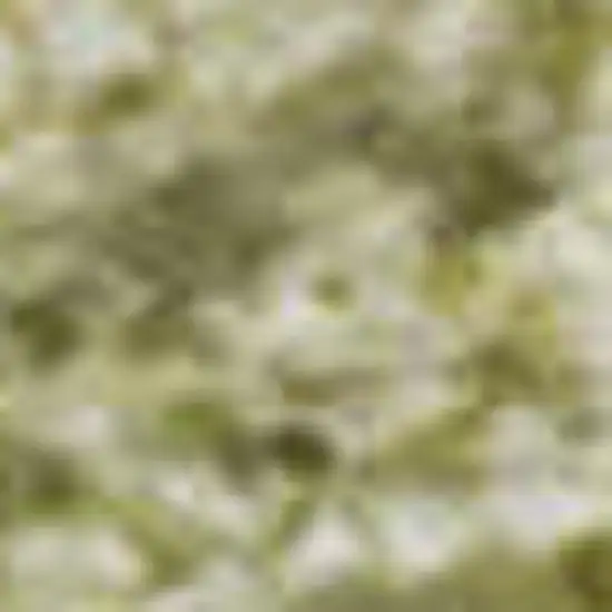 Gold And Ivory Abstract Washable Area Rug With UV Protection Photo 4