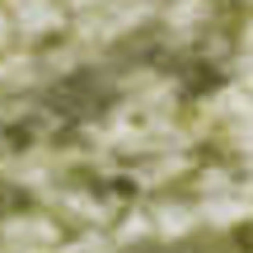 Gold And Ivory Abstract Washable Area Rug With UV Protection Photo 4