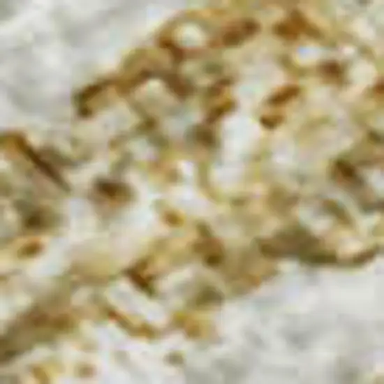 Gold And Ivory Abstract Washable Area Rug With UV Protection Photo 2