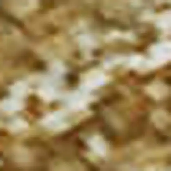 Gold And Ivory Abstract Washable Area Rug With UV Protection Photo 2