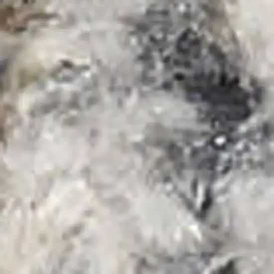 Gold And Ivory Floral Medallion Washable Area Rug Photo 3